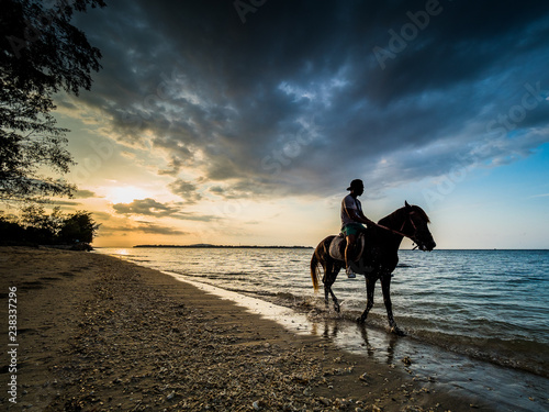 Horse and rider walking along the beach at sunset
