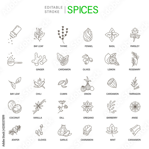 Vector icon and logo for spices and herbs. Editable outline stroke size. Line flat contour, thin and linear design. Simple icons. Concept illustration. Sign, symbol, element.