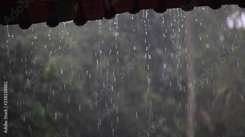 Monsoon Rain 3