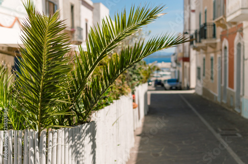 Calasetta city in Sulcis sud sardinia isle of san Antioco