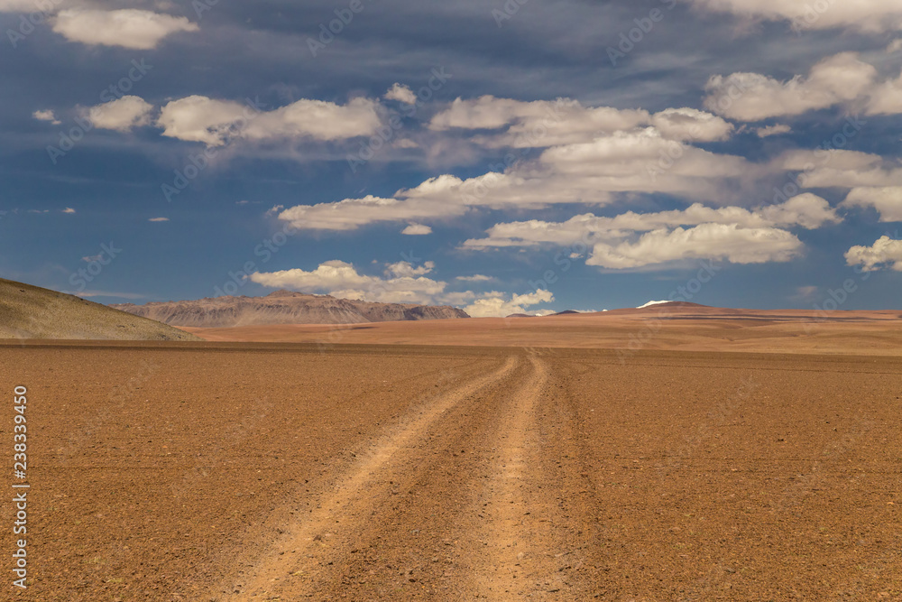 Dirt road in a high desert. Altiplano, Bolivia