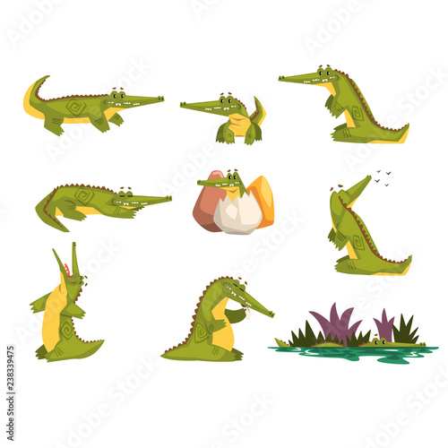 Friendly crocodile in different poses set, funny predator cartoon character, roc daily activities vector Illustration