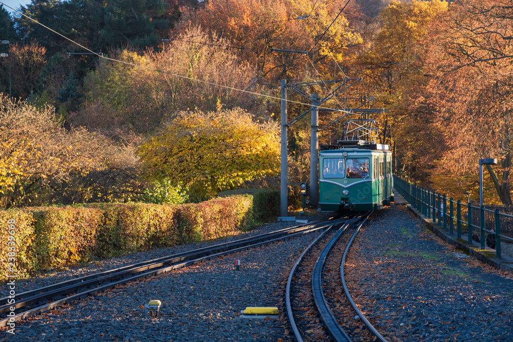 Die Drachenfelsbahn in Königswinter im Herbst - obrazy, fototapety, plakaty 
