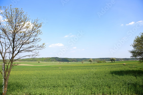 Landscape near Zamość in Poland.