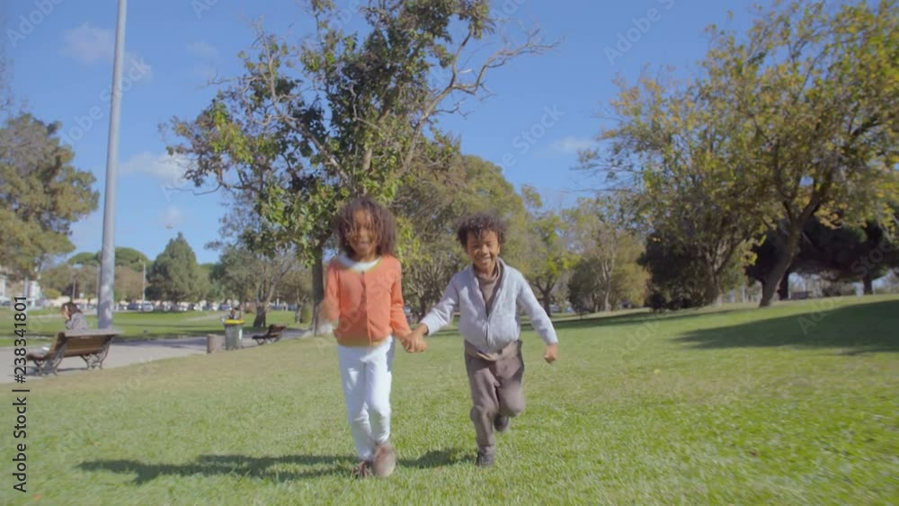 Happy African American friends holding hands and running on lawn. Mixed race cheerful curly siblings having fun in green park. Friendship concept Happy African American friends holding hands and running on lawn. Mixed race cheerful curly siblings having fun in green park. Friendship concept