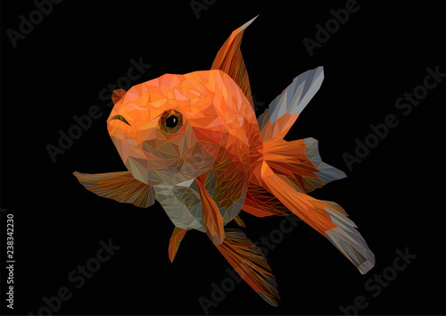 Illustration polygonal drawing of golden fish.