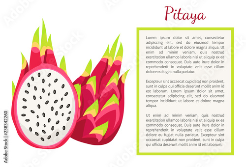 Pitaya Pitahaya Exotic Juicy Fruit Vector Poster