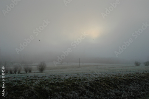 Winternebel