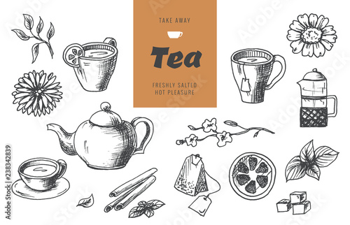 Tea collection elements in graphic style, hand-drawn vector illustration.