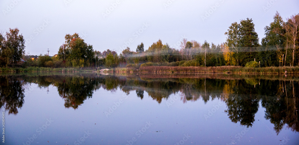 Overgrown pond in the forest. Forest Swamp. Overgrown pond in the forest. Forest Swamp.