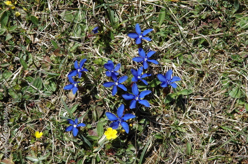 Frühling