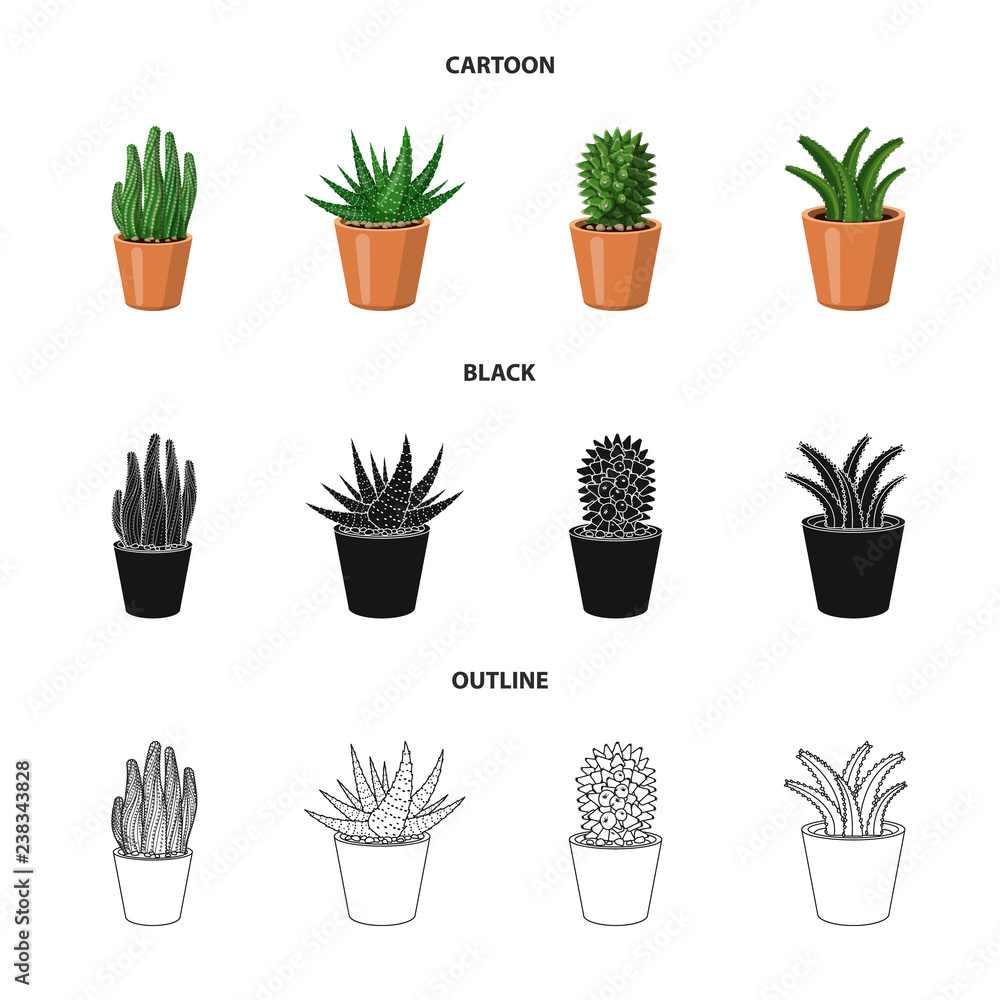 Fototapeta Isolated object of cactus and pot symbol. Set of cactus and cacti vector icon for stock.