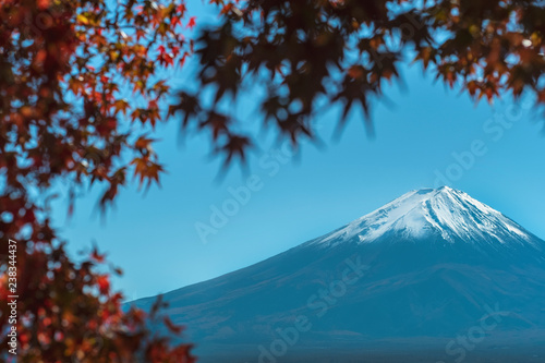 Mt.Fuji with red maple