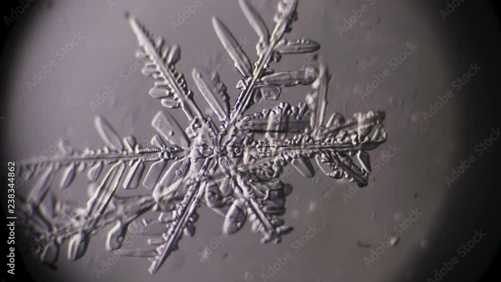 snowflake on a white background under a microscope becomes blurred snowflake on a white background under a microscope becomes blurred