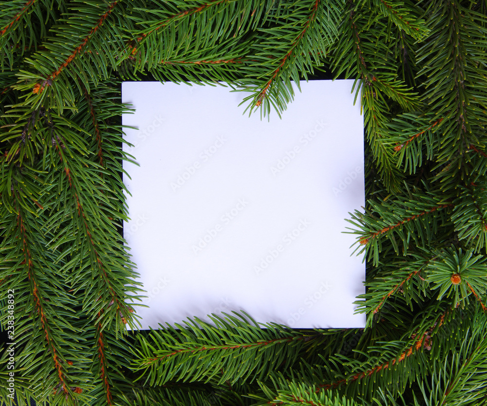 Christmas tree branches with paper card note. Christmas tree branches with paper card note.