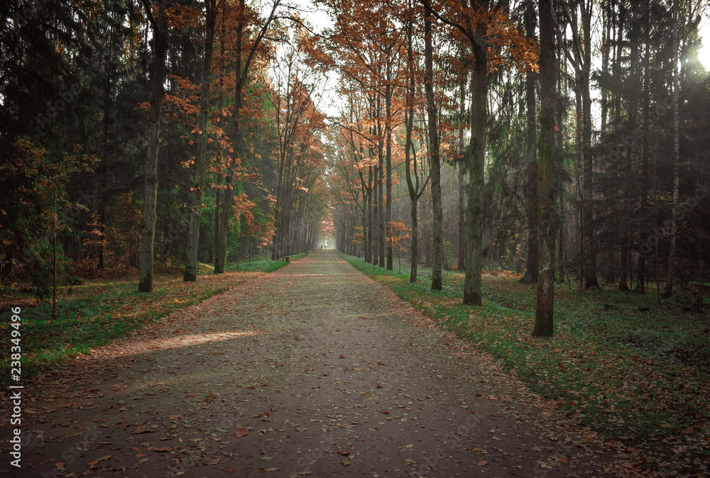 Obraz premium Осенний пейзаж