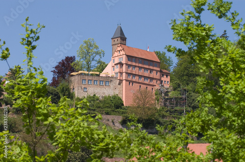 Burg Hirschhorn am Neckar
