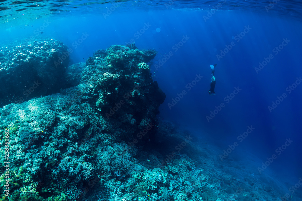 Naklejka premium Free diver dive in ocean, underwater view with rocks and corals