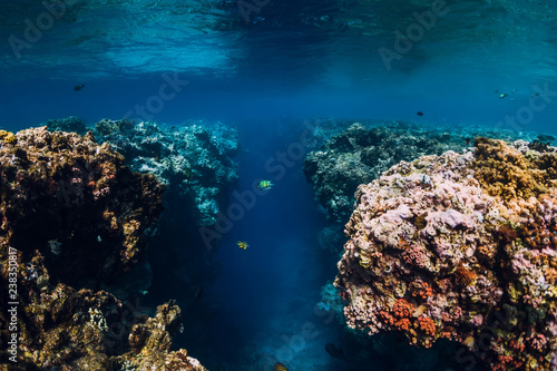 Underwater rocks with corals in blue ocean. National park Menjangan island