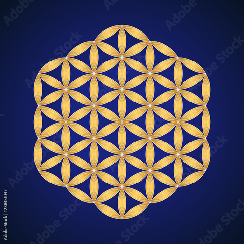 vector mandala sacred geometry illustration.