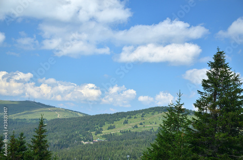 Hills covered with conifer trees and blue summer sky with white clouds