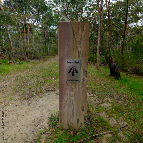The Convict Trail or Great Northern Road near Bucketty, in the Hunter Valley, NSW, Austrialia photo