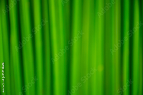 Green background. Nature concept background.