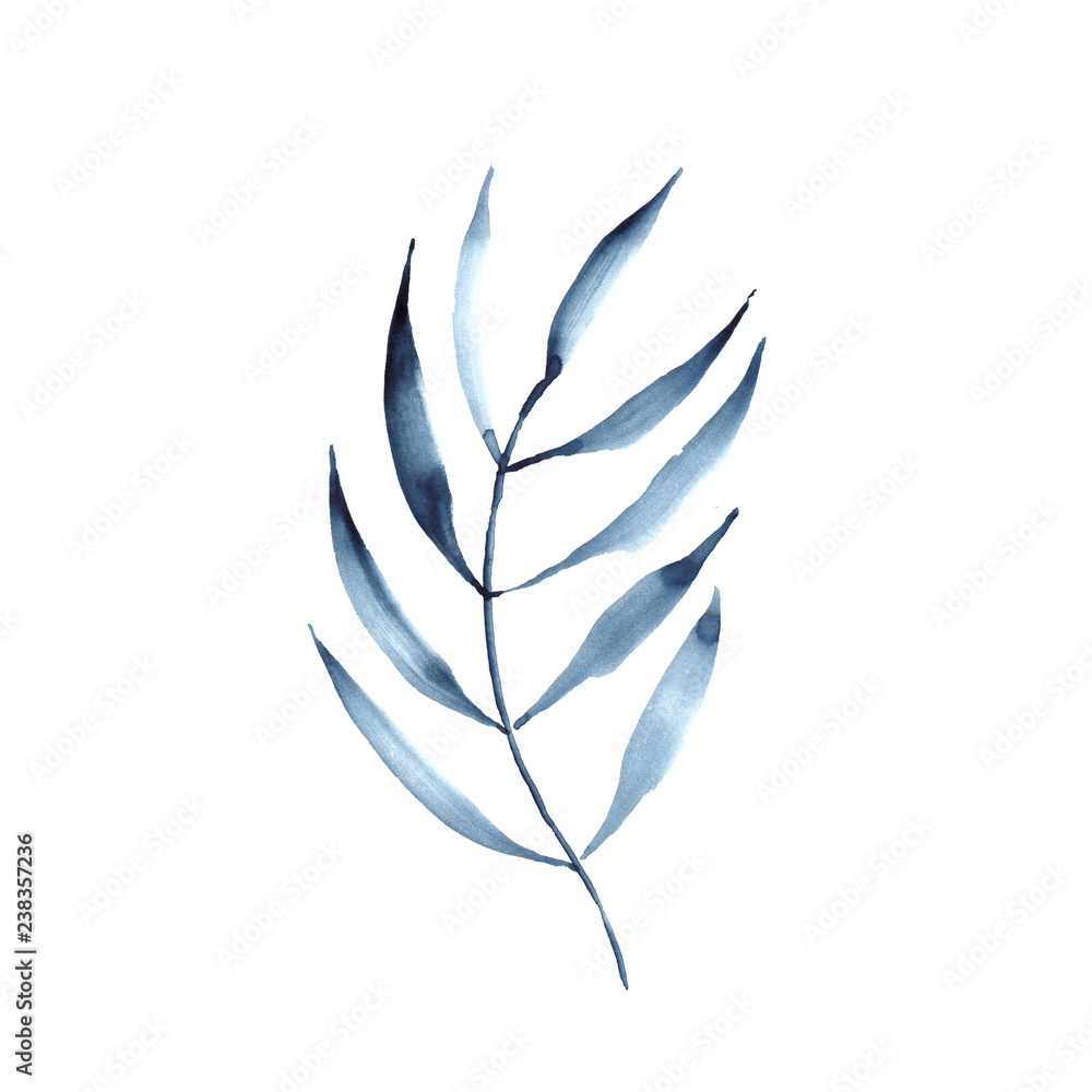 Indigo blue tree leaves botanical illustration Indigo blue tree leaves botanical illustration