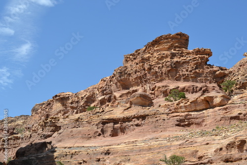 Petra, Jordan - ancient Nabatean city in red natural rock and with local bedouins, UNESCO world heritage