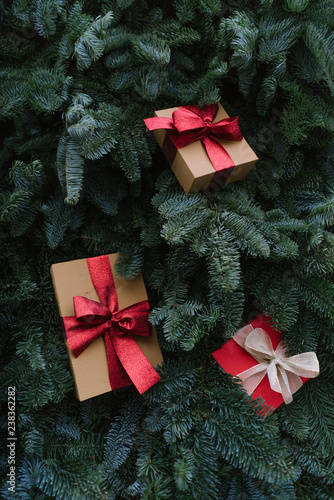 Christmas presents lying on conifer branches photo