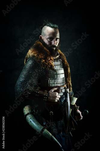 Viking: Portrait of a medieval warrior