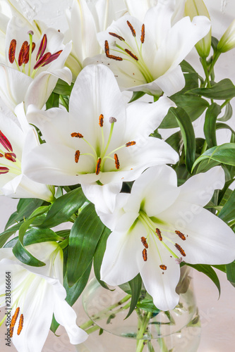 Fototapeta Naklejka Na Ścianę i Meble -  Flower bouquet, white lilies in a vase. White background.