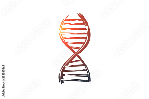 DNA, medicine, genetic, biology, science concept. Hand drawn isolated vector.