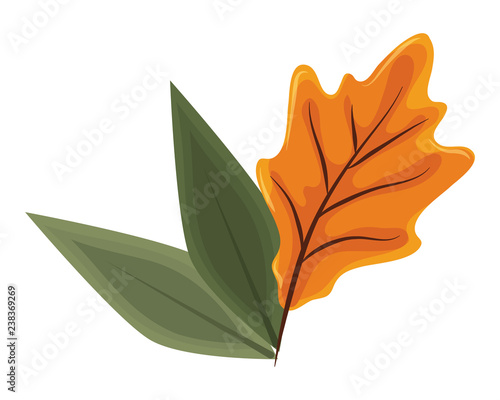 maple leaf icon © Jemastock