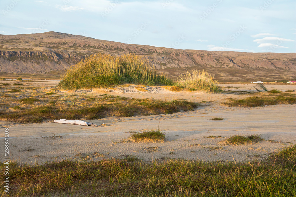 On beach of Breidavik, sunset, westfjords of iceland On beach of Breidavik, sunset, westfjords of iceland
