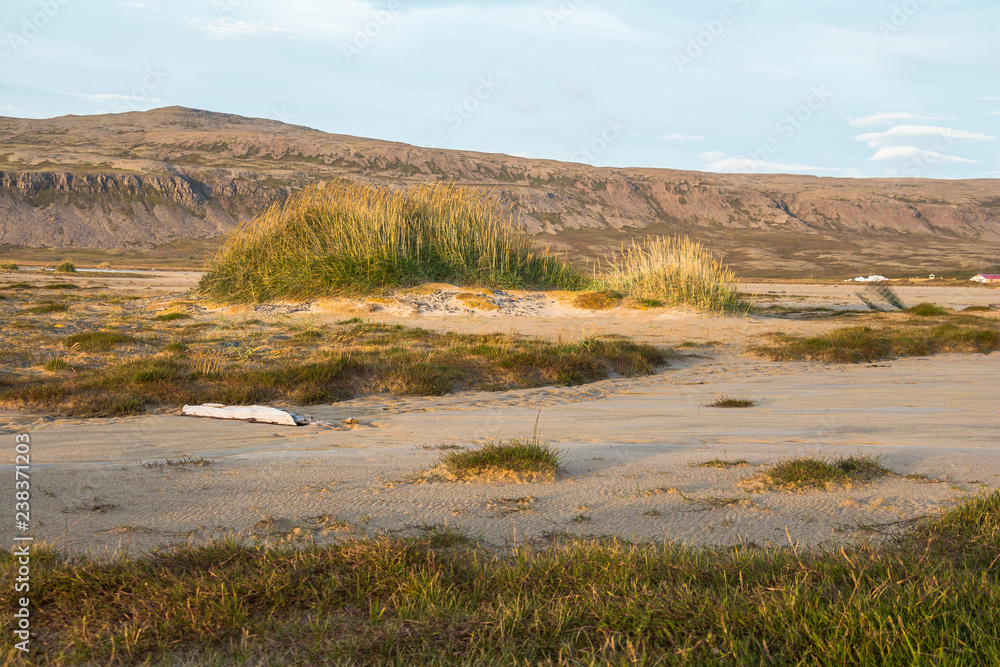 On beach of Breidavik, sunset, westfjords of iceland