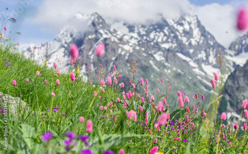 Fototapeta Naklejka Na Ścianę i Meble -  Dombay, Karachay-Cherkess Republic, Dombay mountain Chotcha in summer, beautiful mountain landscape