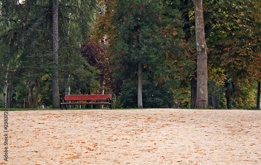 Obraz premium Low view in the park