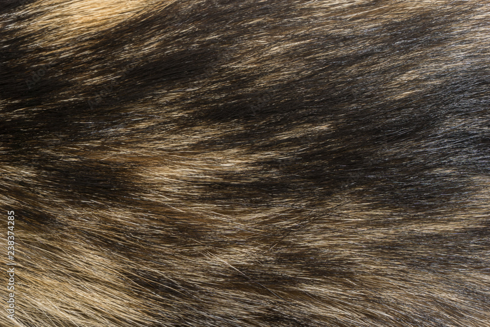 Naklejka premium Natural animal fur background texture. brown wool close-up