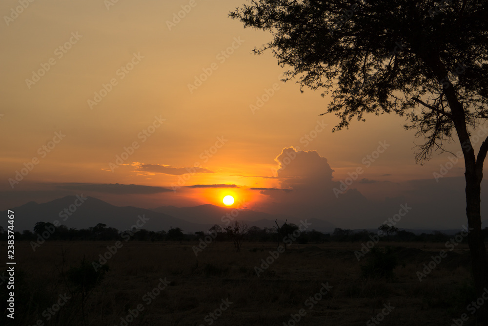 Obraz premium sunset