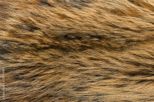 Natural animal fur background texture. brown wool close-up