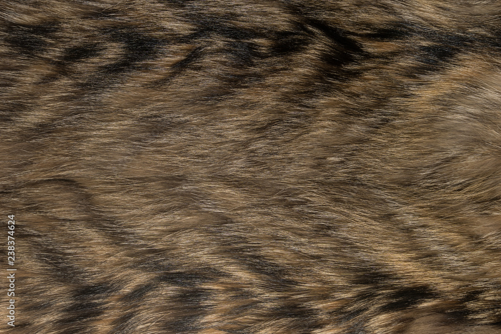 Natural animal fur background texture. brown wool close-up Natural animal fur background texture. brown wool close-up