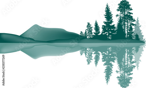 high cyan pines in forest with reflection