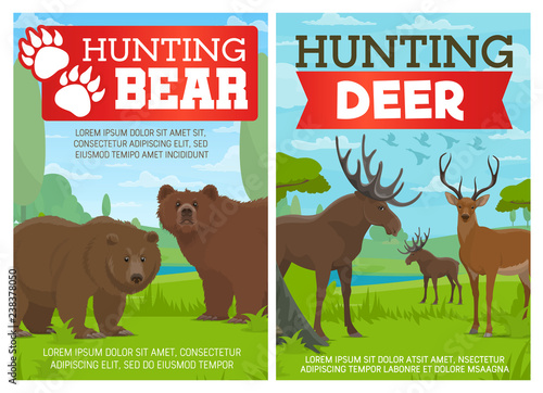 Deer, elk and grizzly bear animals, hunting sport
