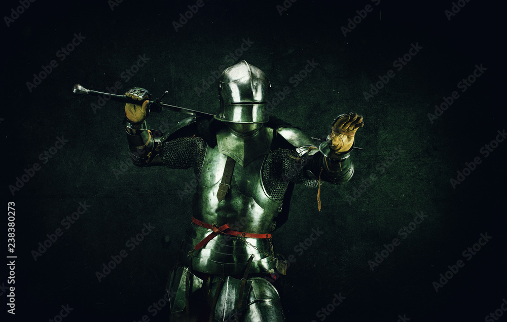 Fotografie Portrait of a knight in armor