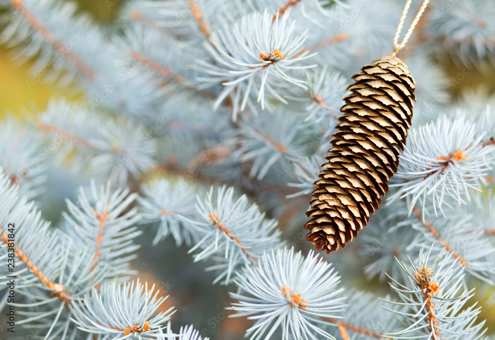 Blue christmas tree branch with gold decoration pine cone - greeting card idea Blue christmas tree branch with gold decoration pine cone - greeting card idea