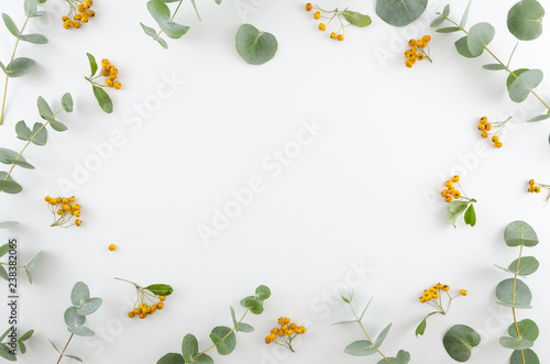 Spring flowers composition. Rectangular frame made of yellow rowan berries and gree eucalyptus branches on white background. Flat lay, top view, copy space.