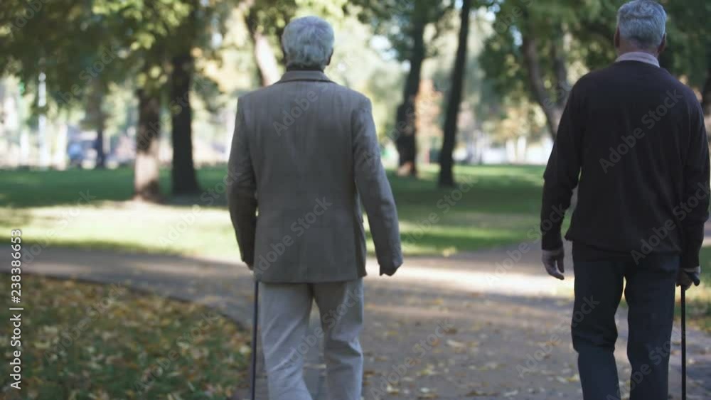Two old men walking at sunny day in park, nursing home for elderly people Two old men walking at sunny day in park, nursing home for elderly people
