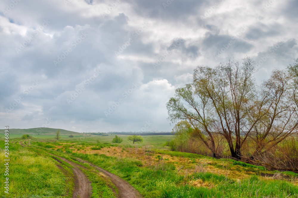 The cloudy moody landscape with the unpaved ground road on the green grassland