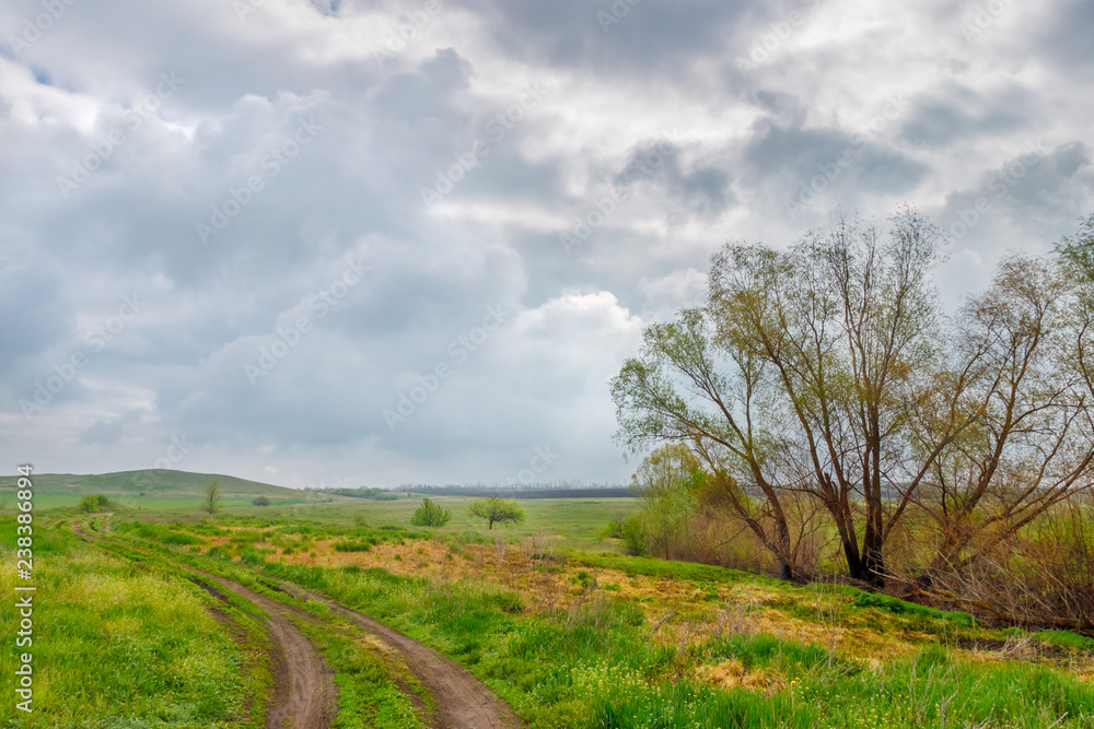 The cloudy moody landscape with the unpaved ground road on the green grassland The cloudy moody landscape with the unpaved ground road on the green grassland